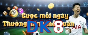 DK8